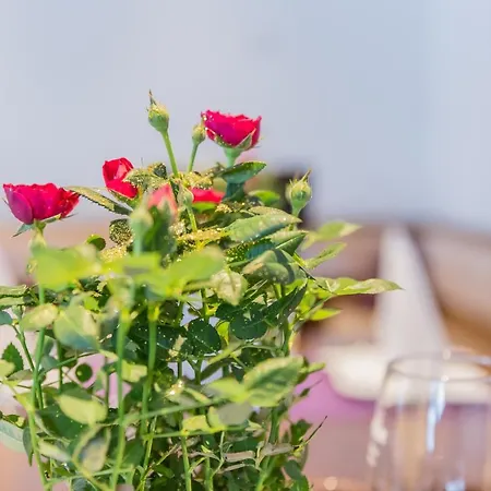 ゲストハウス Koidl *