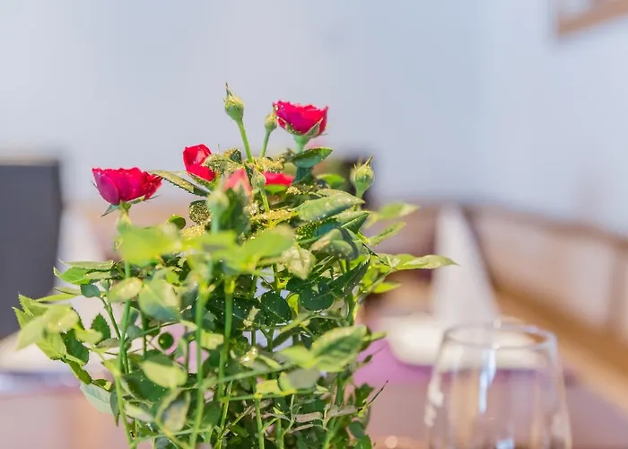 Πανσιόν Koidl *